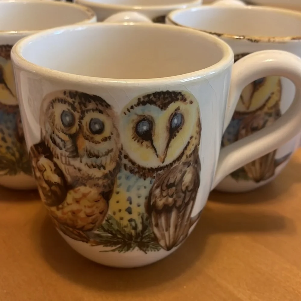 Vintage style owl salad plates and mugs